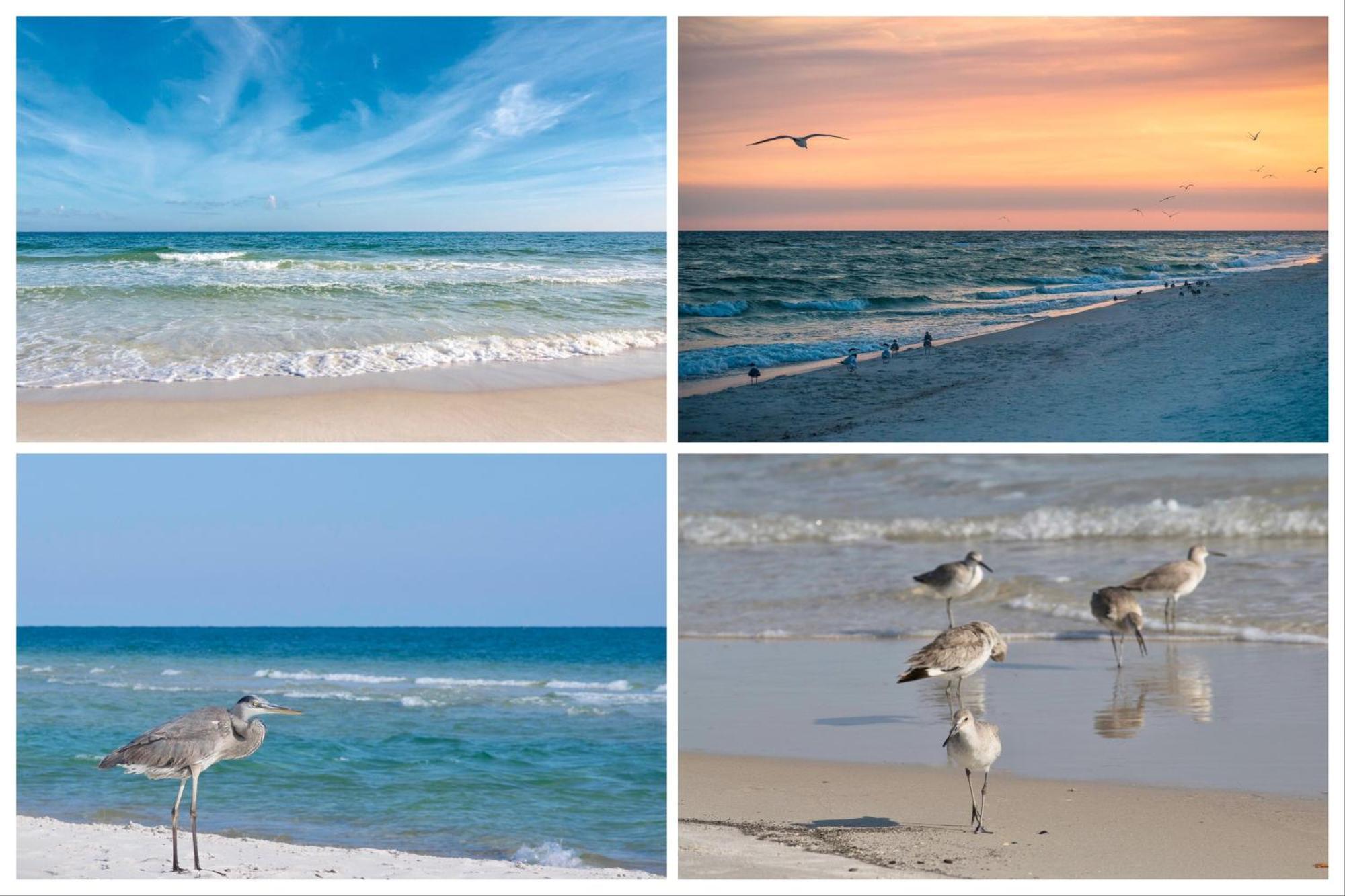 Villa Island Winds East Unit 401 Gulf Shores Zimmer foto